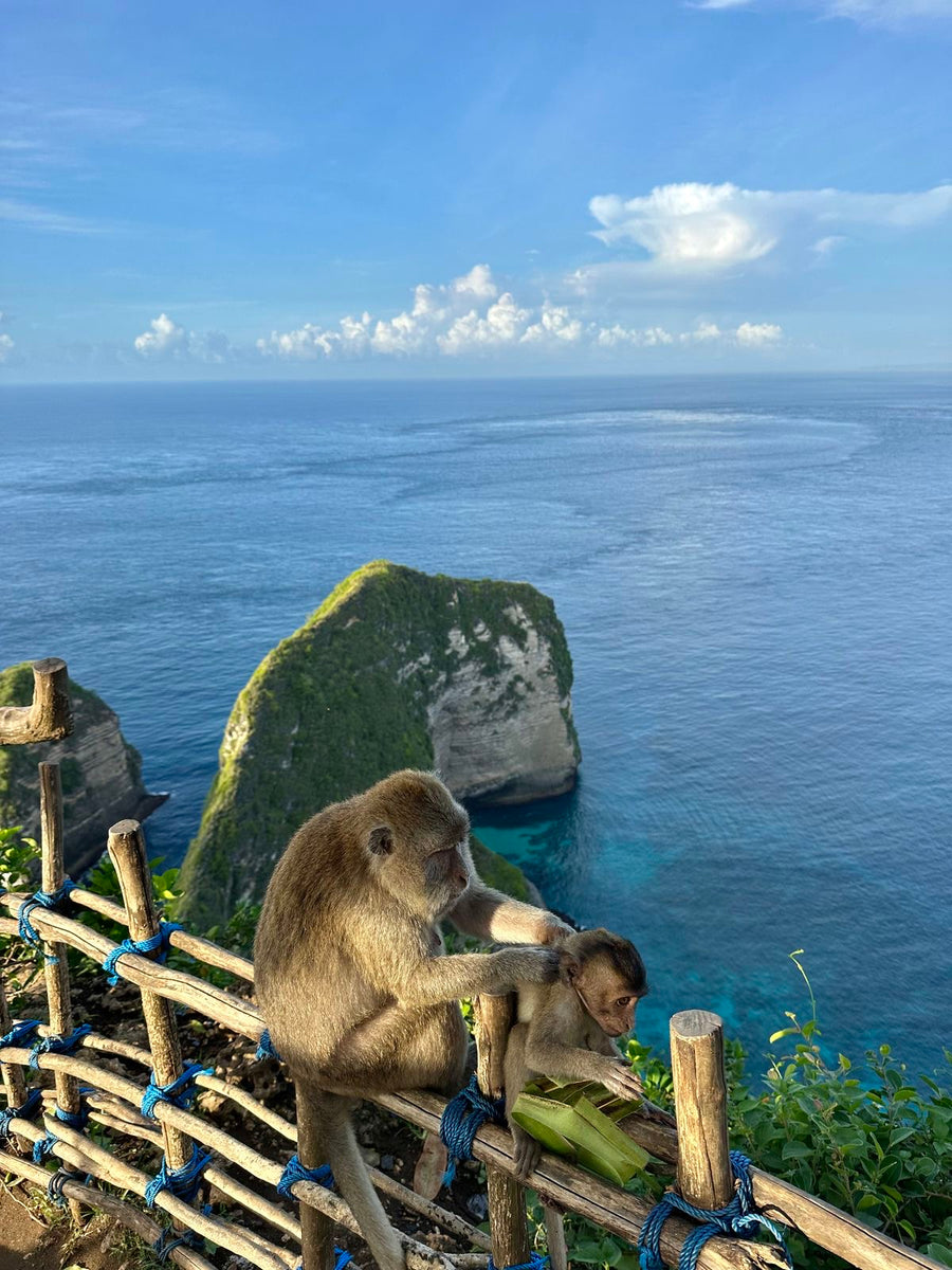 Bali: całodniowa wycieczka po Nusa Penida z transportem