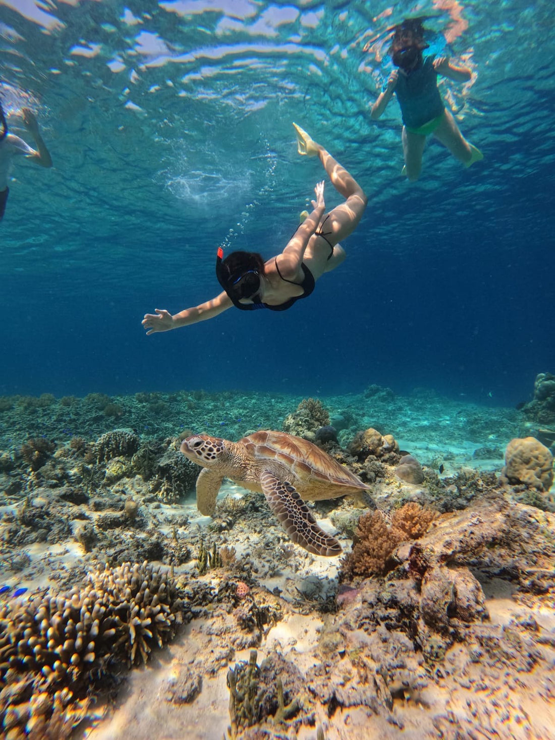 Gili Trawangan: prywatny rejs ze snorkelingiem i zachodem słońca