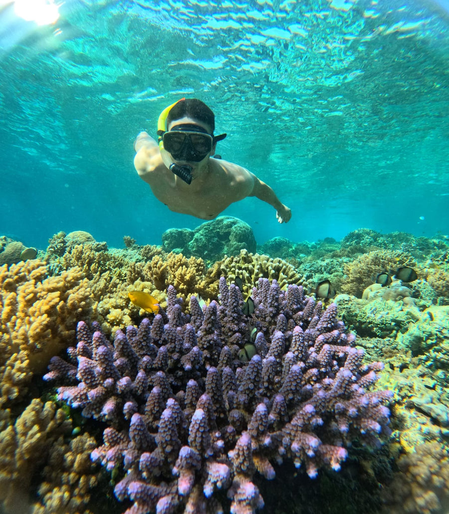 Gili Trawangan: prywatny rejs ze snorkelingiem i zachodem słońca