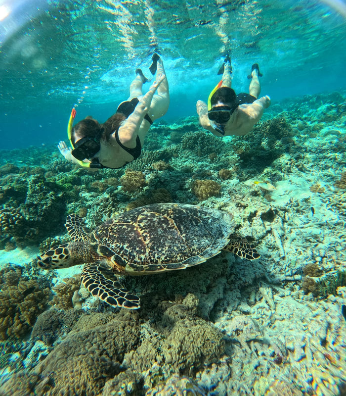 Gili Trawangan: snorkeling z żółwiami i podwodnymi rzeźbami
