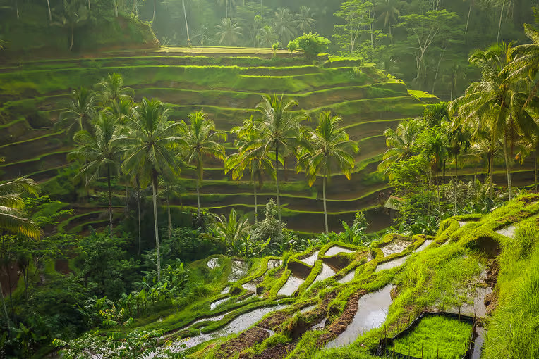 Bali: Całodniowa wycieczka Instagram Highlights Tour